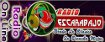 Logo de Radio Escarabajo