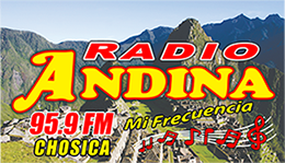 Logo de Radio Andina – 91.5 FM