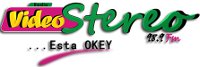 Logo de Radio Video Stereo – 98.9 FM