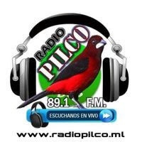 Logo de Radio Pilco – 89.1 FM