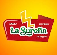 Logo de Radio La Sureña – Pallasca – Ancash