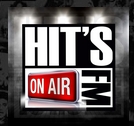 Logo de Radio Hits – 101.3 FM